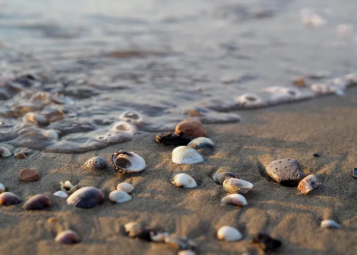 Charming Flat Just Steps Away From The *